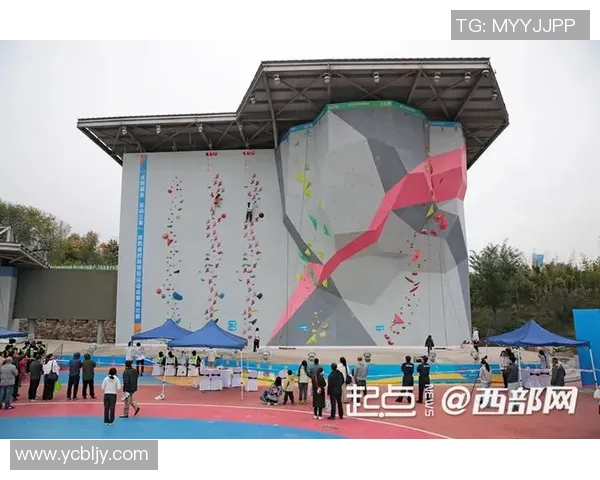 西安飞盘队在世界滑板锦标赛中的团队协作表现精彩纷呈引人注目